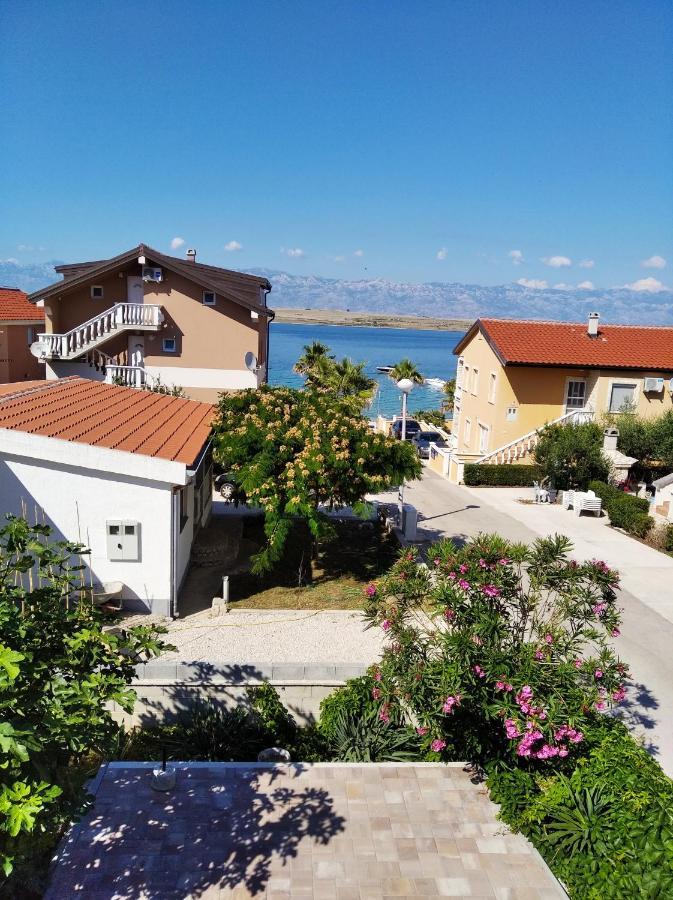 Apartmani Darija Vir Esterno foto